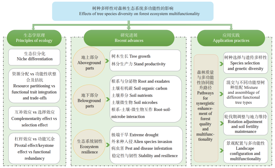 主要内容结构框架
